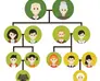 a family tree